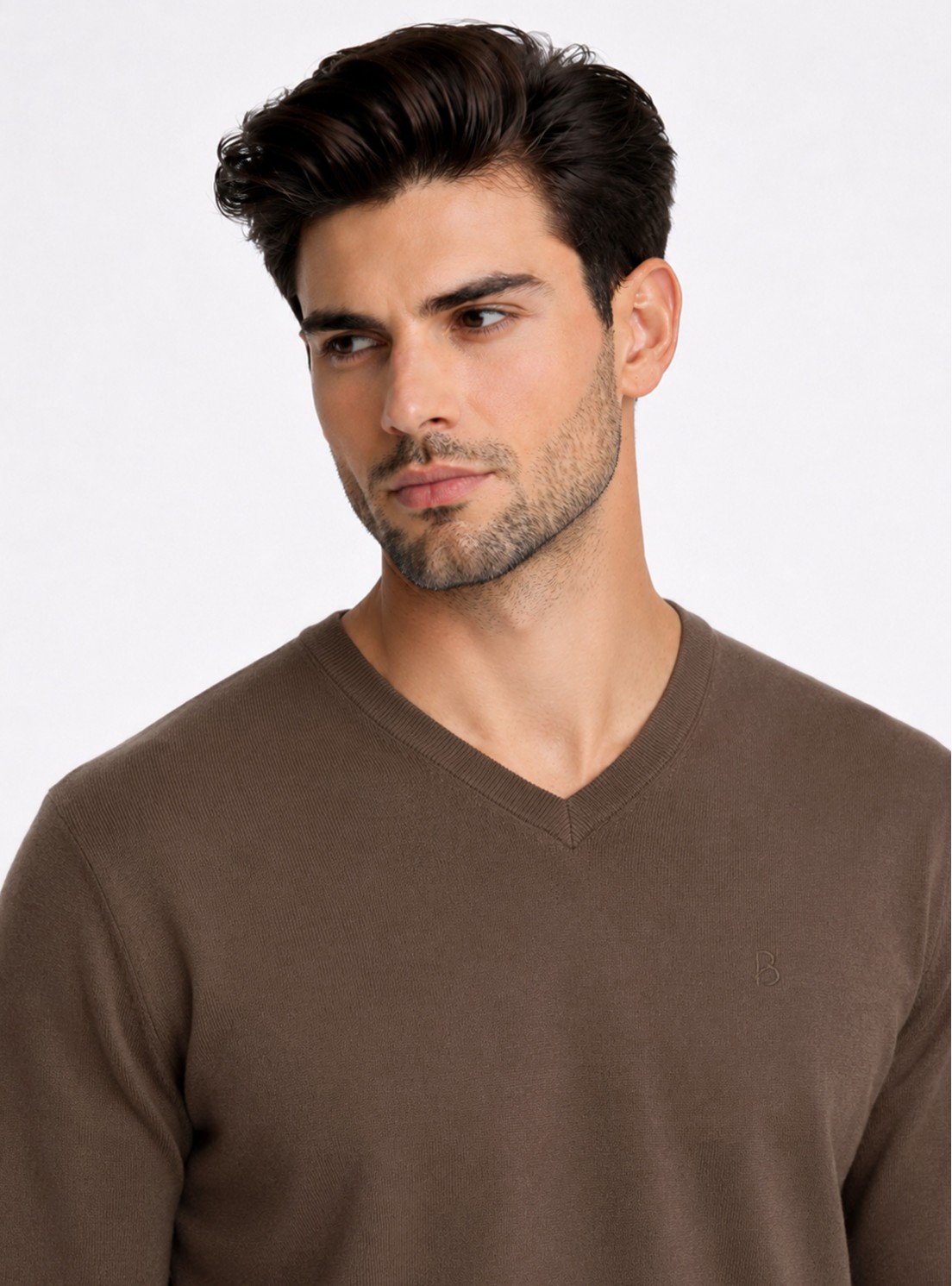 Sweater Cuello V Regular Fit Café Piero Butti Sweater Cuello V Regular Fit Café Piero Butti
