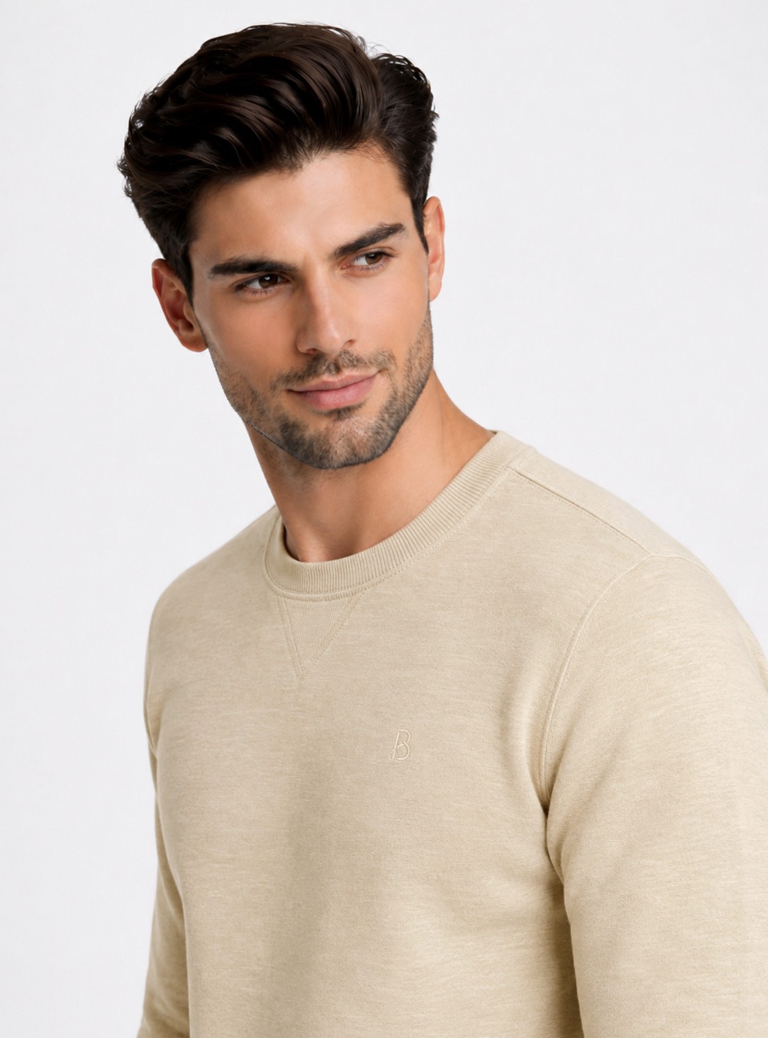Polerón Cuello Redondo Regular Fit Arena Piero Butti Polerón Cuello Redondo Regular Fit Arena Piero Butti