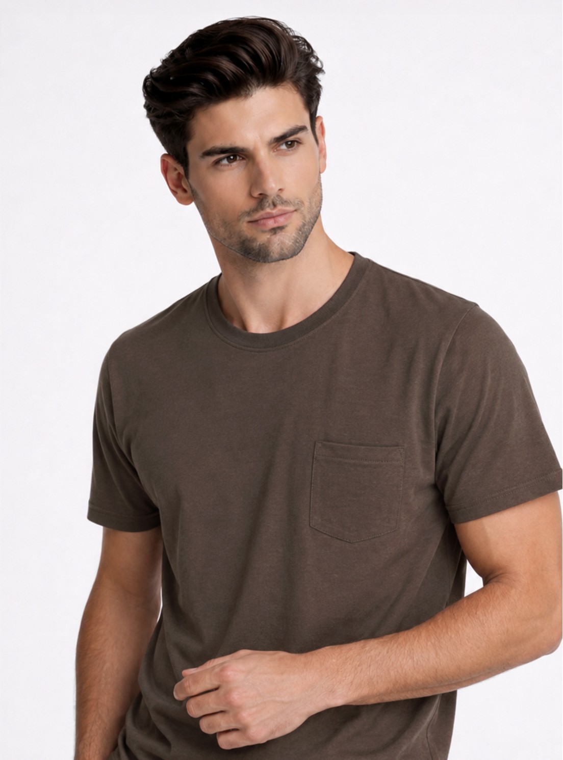Polera Cuello Redondo Regular Fit Café Piero Butti Polera Cuello Redondo Regular Fit Café Piero Butti