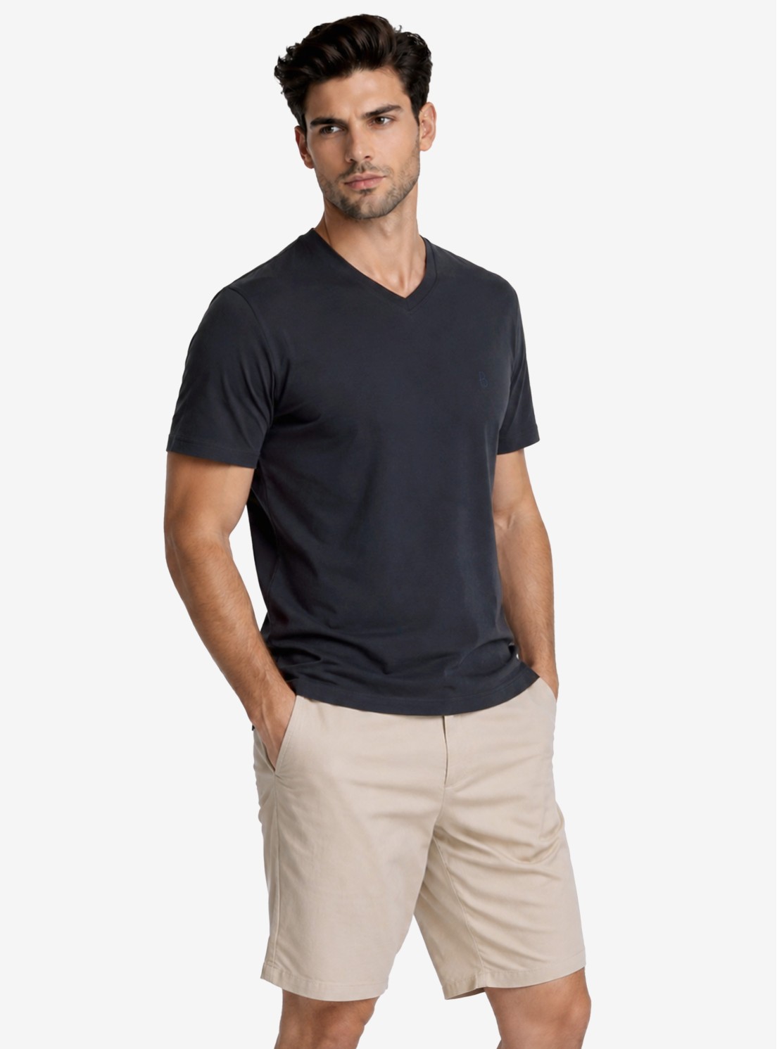 Polera Cuello V Regular Fit Azul Marino Piero Butti Polera Cuello V Regular Fit Azul Marino Piero Butti